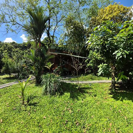 Centro Ananda Bed & Breakfast Guápiles Dış mekan fotoğraf