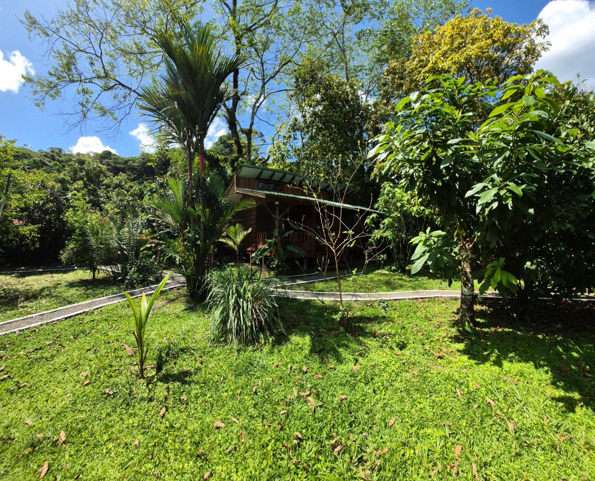 Centro Ananda Bed & Breakfast Guápiles Dış mekan fotoğraf