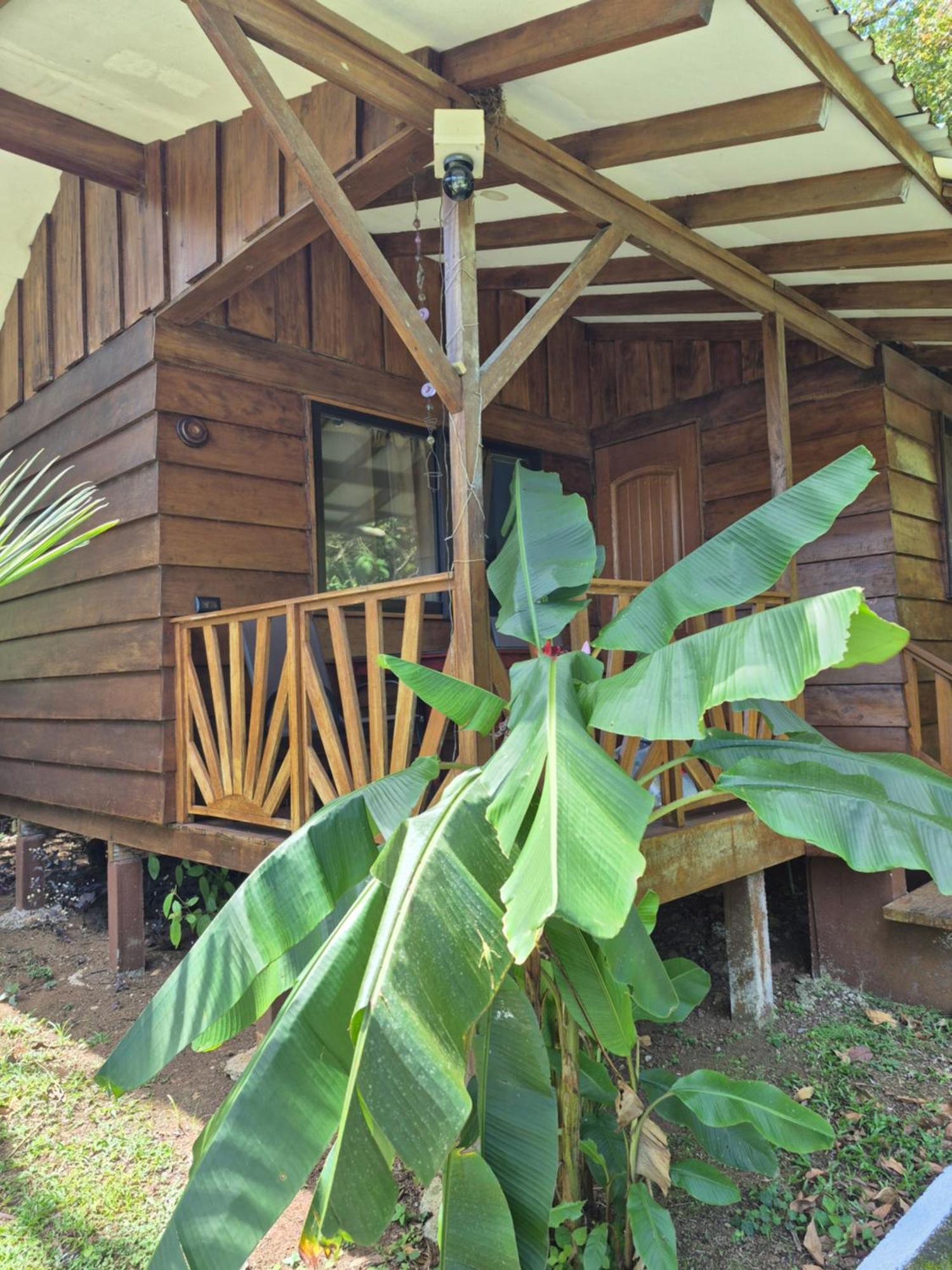 Centro Ananda Bed & Breakfast Guápiles Dış mekan fotoğraf