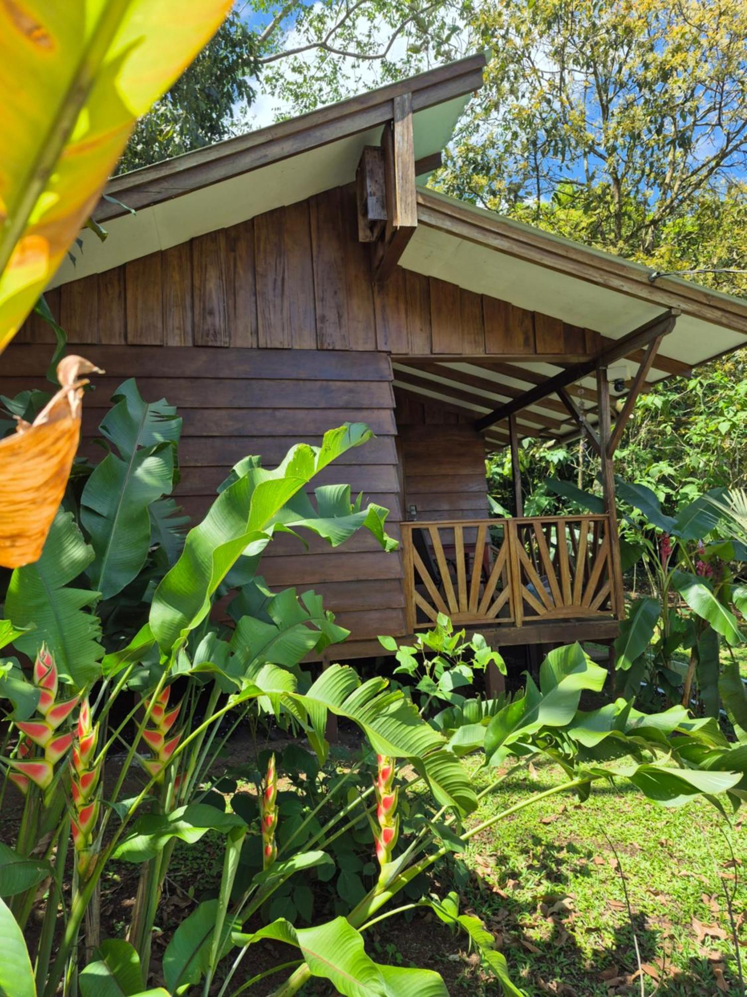 Centro Ananda Bed & Breakfast Guápiles Dış mekan fotoğraf