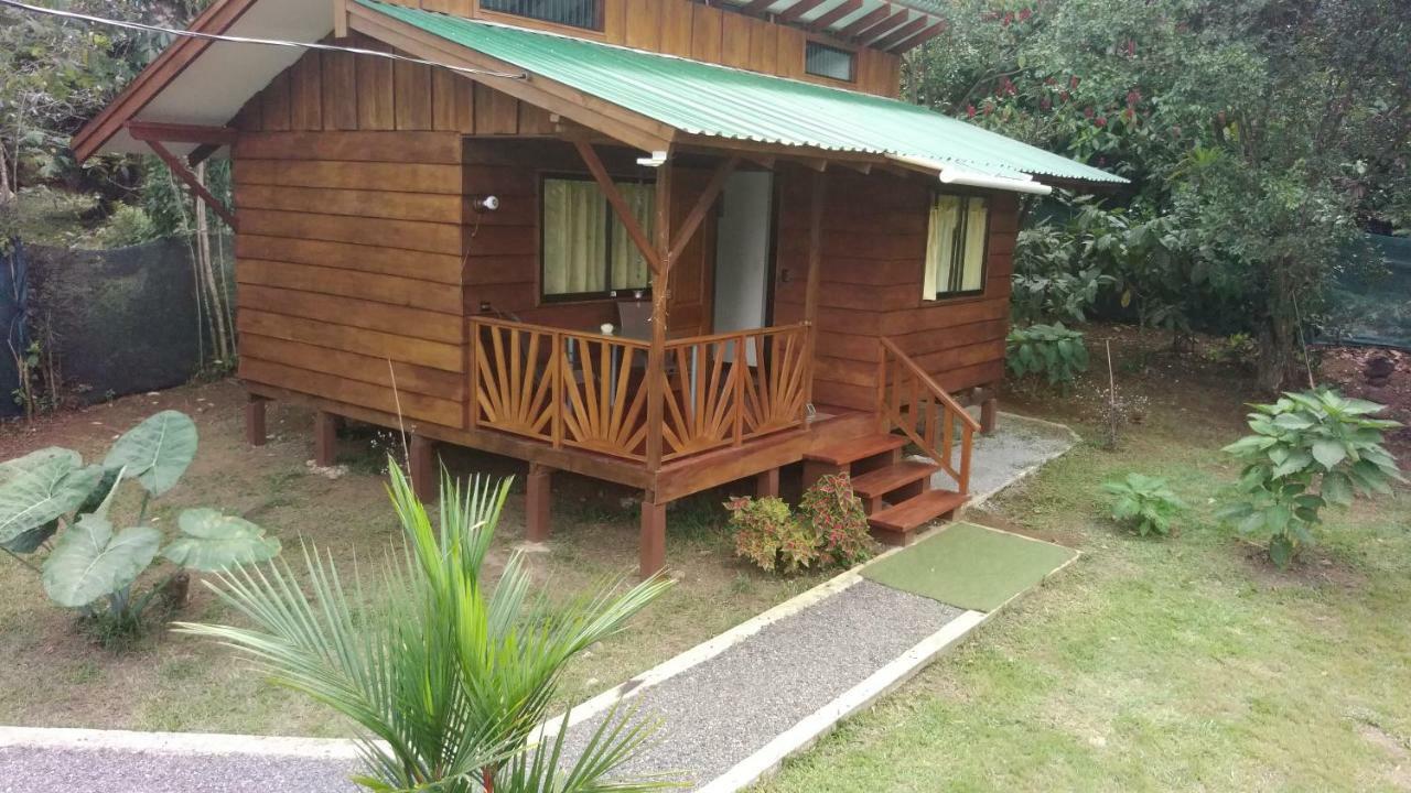Centro Ananda Bed & Breakfast Guápiles Dış mekan fotoğraf